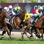 best horse to bet on melbourne cup 2021